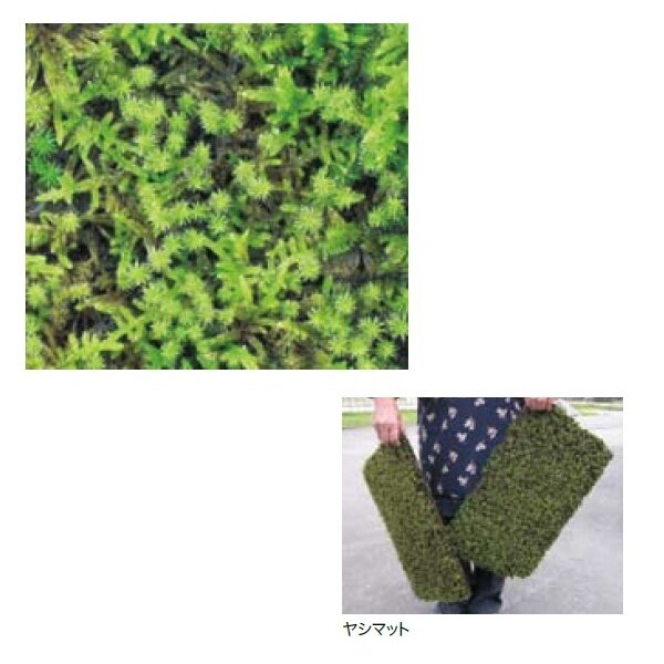 オンリーワン　植栽・ヤシマット　コケ・緑化用混合（砂苔＋ハイ苔）　（ヤシマット）　HE6-TKSH 