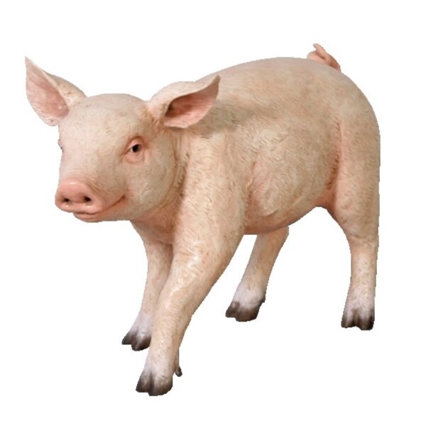 FRP まるまるした子豚 / ChuBBy Piglet fr110084 『動物園オブジェ アニマルオブジェ 店舗・イベント向け』 