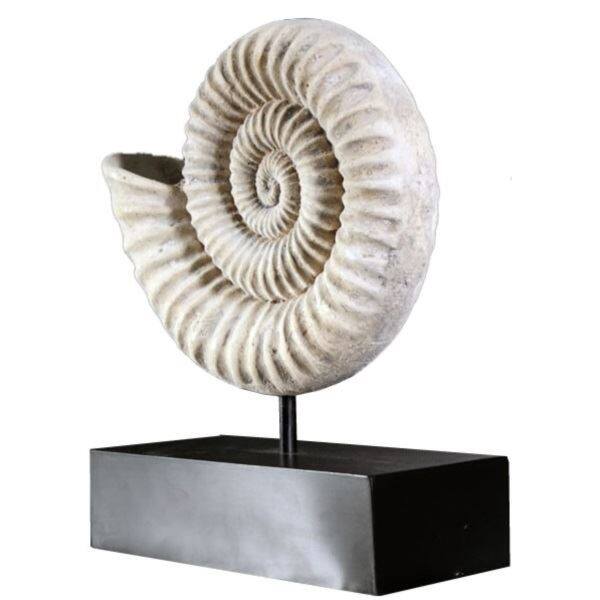 FRP オウムガイの殻(小) / Nautilus Shell fr100505rs 『恐竜オブジェ 博物館オブジェ 店舗・イベント向け』 