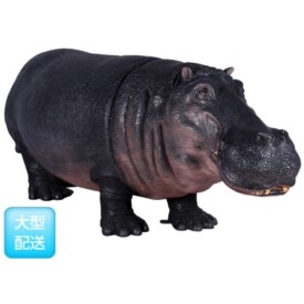 FRP カバ / Hippopotamus fr110023 『動物園オブジェ アニマルオブジェ 店舗・ホテル向け』 