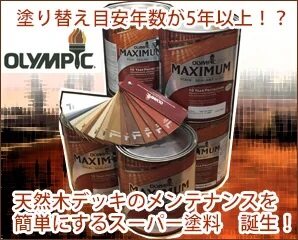 PPG社　オリンピック　マキシマム特集