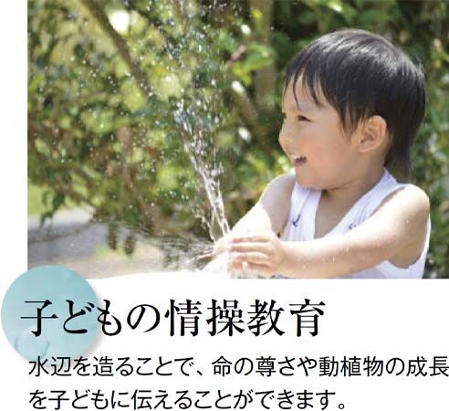 子どもの情操教育