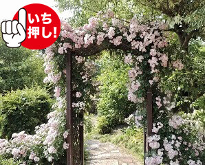 おすすめパーゴラ10選