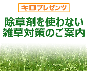 土地やお子様、ペットにやさしい雑草対策