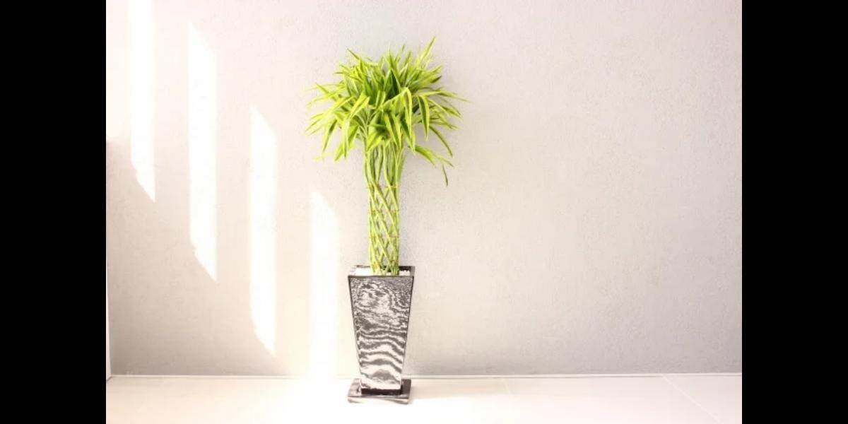 お店で本当に売れてるおすすめの大型プランターとは