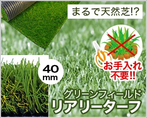 グリーンフィールド リアリーターフ特集