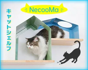 ネコノマ　キャットシェルフ特集