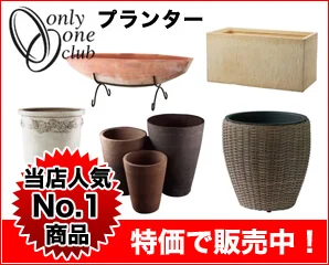 オンリーワンプランター特集