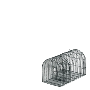 防獣・防鳥対策