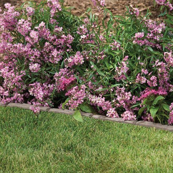 【輸入商品につき納期要問合せ】個人宅配不可 SUNCAST エッジング（見切り材） フラッグストーンストリップ  1本入り FSS36 