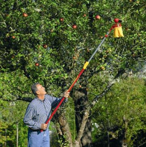 エープラス ウルフガルテン Tree care ツリーケア 果樹用フルーツピッカー RG-M 