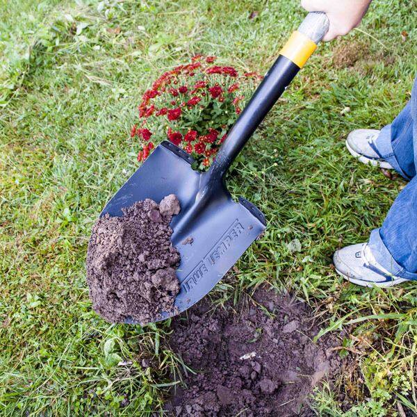 【輸入商品につき納期要問合せ】個人宅配不可 トゥルーテンパー SHOVELS AND SCOOPS ラウンドシャベル Dグリップ ＃2585900 