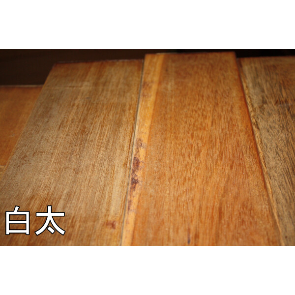 セランガンバツ製ミニ枕木 ラフ材/無塗装品 10本セット 50mm×200mm×2000mm SM-502002000-10 