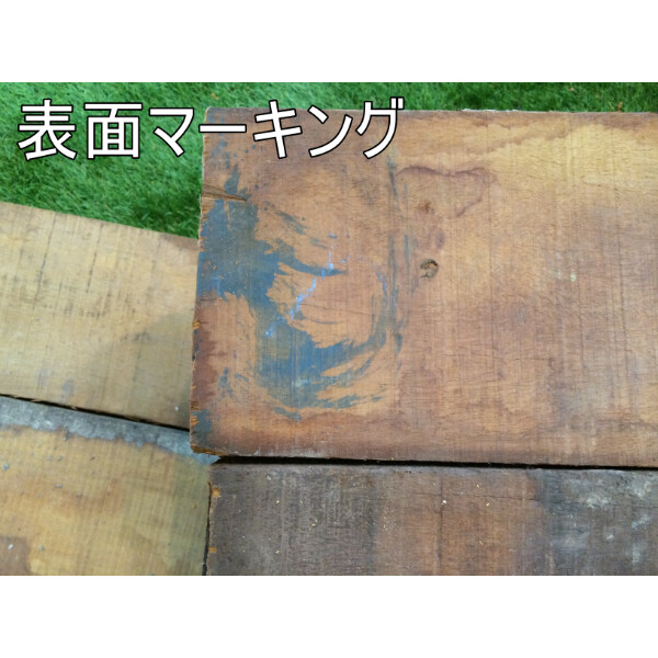 セランガンバツ製ミニ枕木 ラフ材/無塗装品 10本セット 50mm×200mm×2000mm SM-502002000-10 