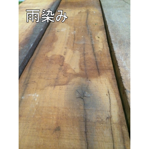 セランガンバツ製ミニ枕木 ラフ材/無塗装品 10本セット 50mm×200mm×2000mm SM-502002000-10 