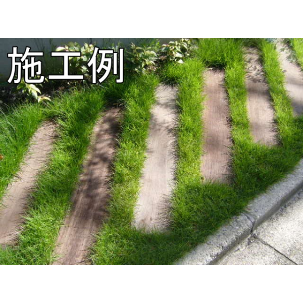 セランガンバツ製ミニ枕木 ラフ材/無塗装品 20本セット 50mm×200mm×2000mm SM-502002000-20 