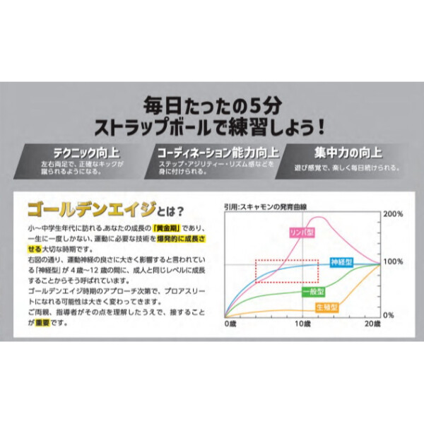 フットボールギア タイガーショット TigerShot ストラップボール TSSBX-2502 『練習用リフティングボール』 