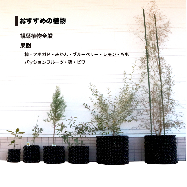 南榮工業 ルートプラスポット(エアープルーニングコンテナ) RootPlus 60L 高さ46cm × 内径41cm 3個セット GSAP400L 