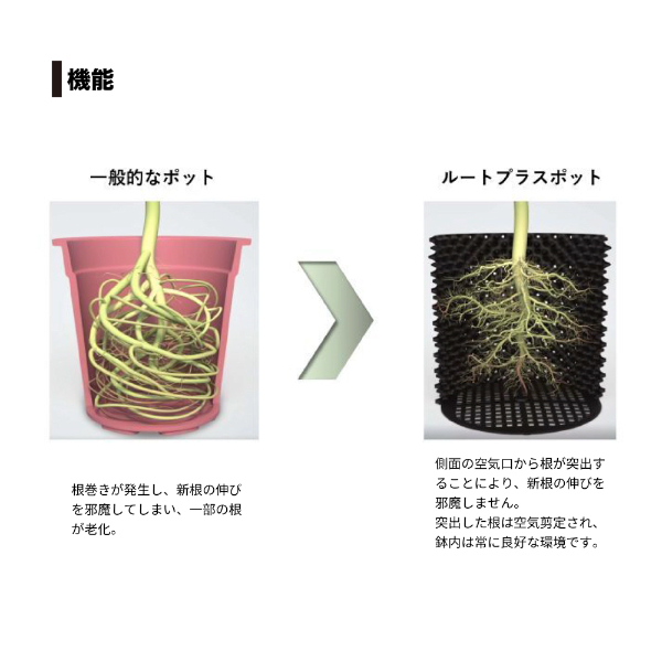南榮工業 ルートプラスポット(エアープルーニングコンテナ) RootPlus 60L 高さ46cm × 内径41cm 3個セット GSAP400L 