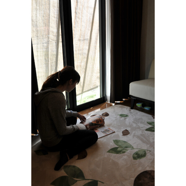 Living Out 洋風たてす 2.9m 3623000345 『日よけ オーニング シェード』 ブラウン