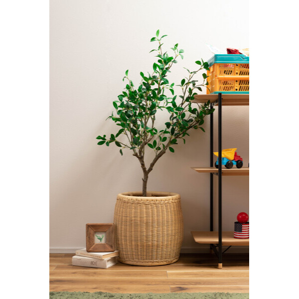 東谷 Ligth Furniture ペットスツール PET-66