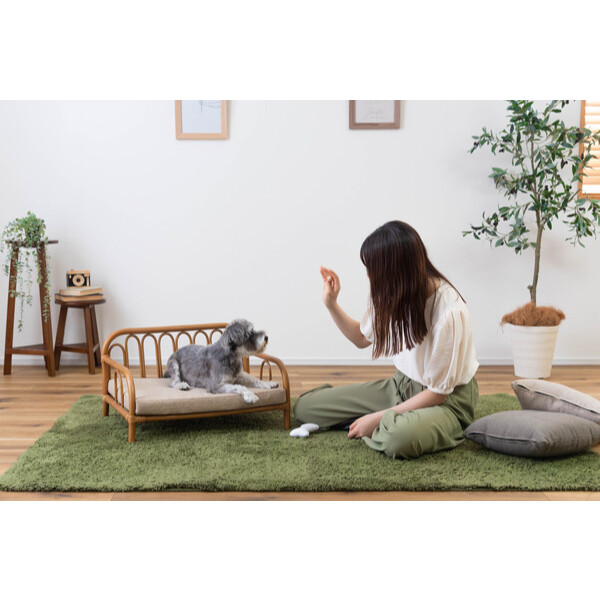 東谷 Ligth Furniture ペットベット PET-68 