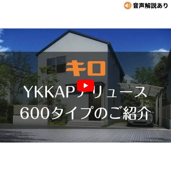 全国配送 YKK カーポート アリュース 基本セット 54-25 標準柱
