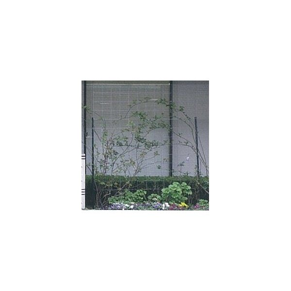 近江屋ロープ　カラマリーナVG／メッキパネル　『緑化　バラ用フェンス　柵』 