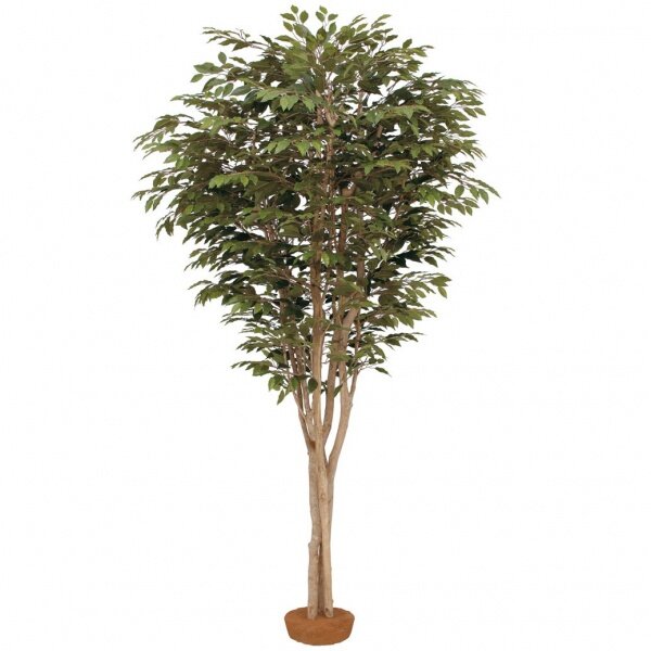 『人工植栽』　タカショー 大型人工樹　ベンジャミン 鉢無　2.2m　GD-163 