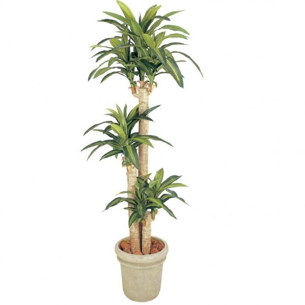 『人工植栽』　タカショー グリーンデコ鉢付　ドラセナ 幸福の木　1.7m　GD-149 