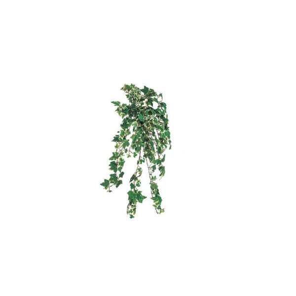 『人工植栽』　タカショー グリーングッズ ハンギング　アイビーブッシュ　ダブルカラー　L50cm　GN-24W 