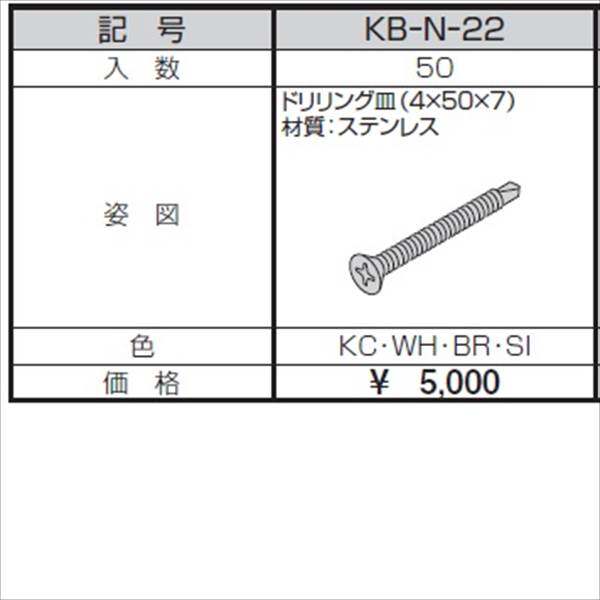 三協アルミ α-Pro アルファプロ ねじセット （50個入り） ドリリング皿（4×50×7） KB-N-22 『外構DIY部品』 形材色