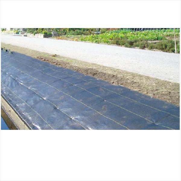 タカショー　防草・植栽シート　ウエトレー200　2×25m　UE-200　コード：45374000 