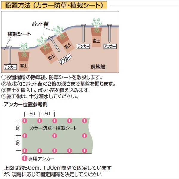 タカショー　カラー防草・植栽シート　50m巻　TBB-50G　コード：50684200 グリーン