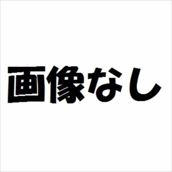 リクシル 渡り配線ユニット ウィルモダンスリム部材用 『機能門柱 機能ポール』 