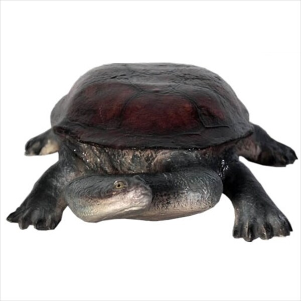 FRP 首の長い亀 / Long-neck Turtle fr100114 『水族館オブジェ アニマルオブジェ 店舗・ホテル向け』 