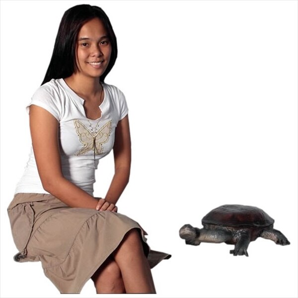 【カメ】 FRP 首の長い亀 / Long-neck Turtle fr100114 『水族館オブジェ