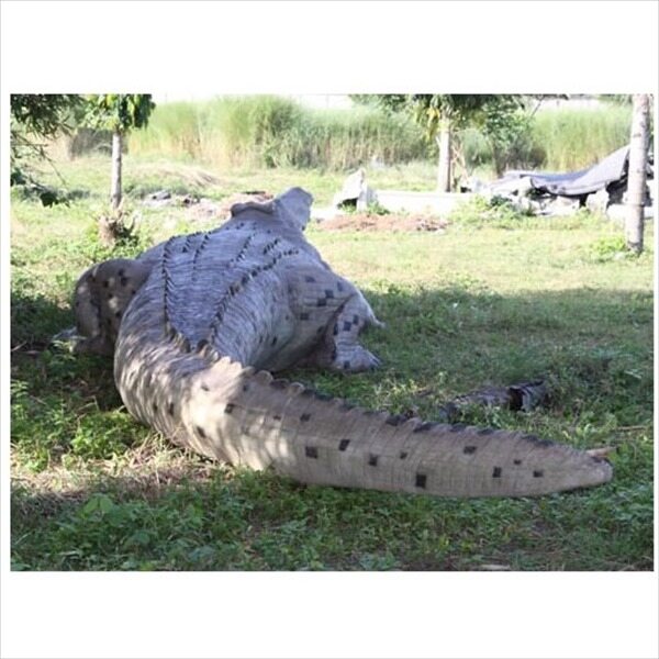 FRP 巨大クロコダイル / Crocodile 28ft fr100097 『動物園オブジェ アニマルオブジェ 店舗・ホテル向け』 