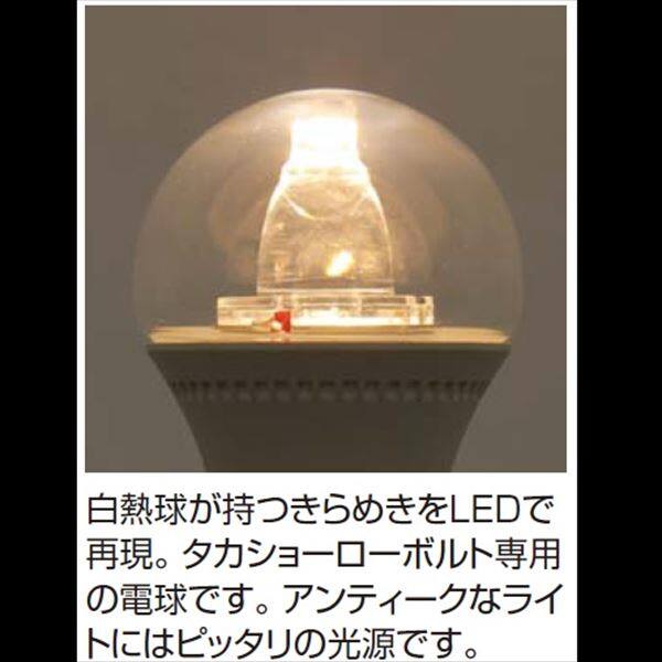 タカショー マリンライト（ローボルト） ブラケットタイプ HBF-D18B #73344600 『エクステリア照明 ライト』 セピアブラウン