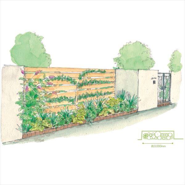 オンリーワン　ボーダー花壇　植栽セット　ブリーゼ　ブッドレア　やさしい景色　WP6-SET04 
