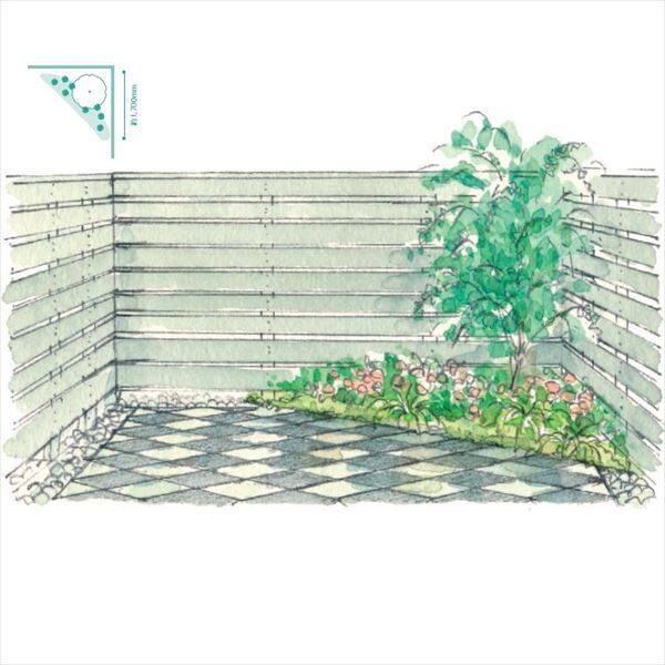 オンリーワン　メインガーデン　植栽セット　インパクト　三角葉アカシア　カッコいい景色　ZE6-SET01 