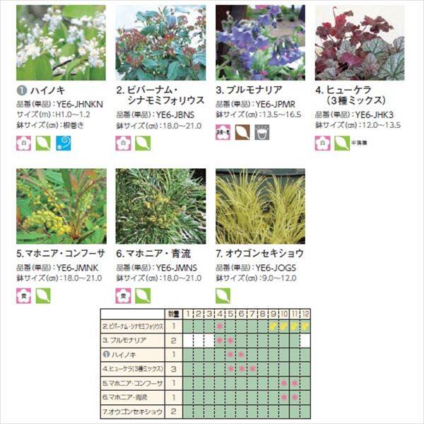 オンリーワン　目的で選ぶ　植栽セット　シェード　ハイノキ　日陰用　YE6-SET05 