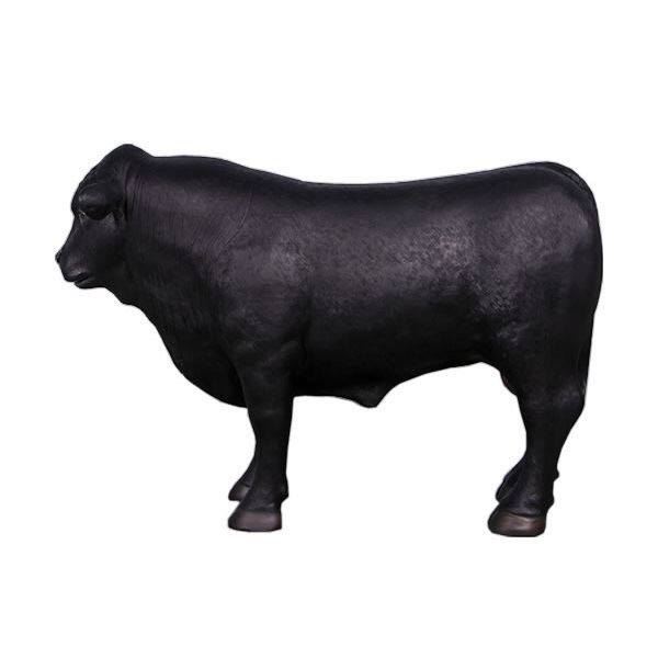 FRP 小型アンガス牛・右向き / Definitive Angus Looking Right fr160070BL 『動物園オブジェ アニマルオブジェ 店舗・ホテル向け』 