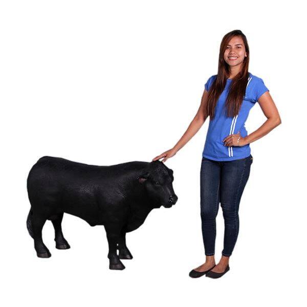 FRP 小型アンガス牛・右向き / Definitive Angus Looking Right fr160070BL 『動物園オブジェ アニマルオブジェ 店舗・ホテル向け』 