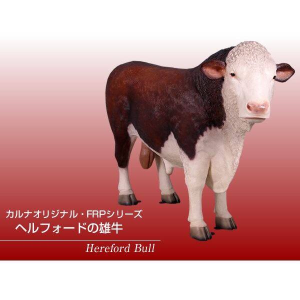 FRP ヘルフォードの雄牛 / Hereford Bull fr160034 『動物園オブジェ アニマルオブジェ 店舗・ホテル向け』 