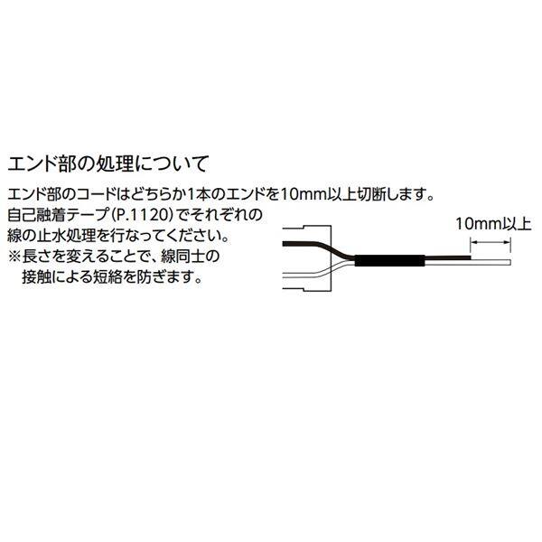 タカショー フレキシブルLEDバー 低Wタイプ 1000 レール付 HAC-D21T #75152500 『ローボルトライト』 『エクステリア照明 』 電球色