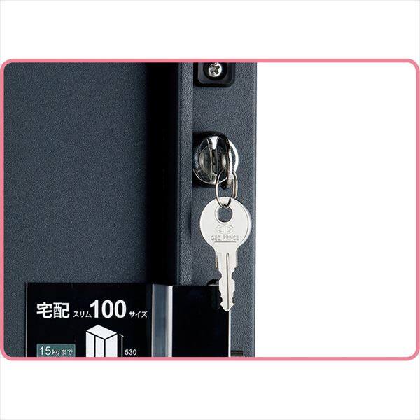 ユニソン ヴィコ DB スリム100 ポスト無し 左開き 『宅配ボックス』 ウォールナット