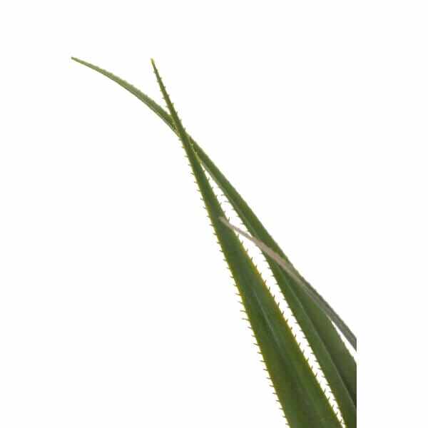 グローベン リフェイクグリーン 人工植物 樹木・軒下用 パンダナス 専用鉢付き A70TN571 