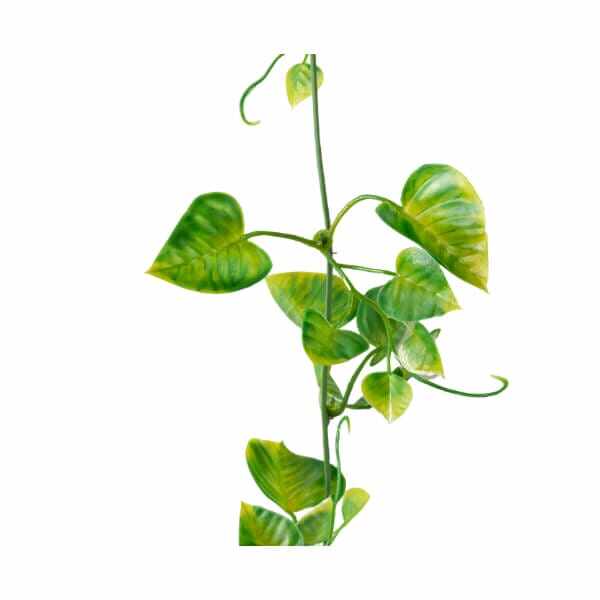 グローベン リフェイクグリーン 人工植物 ガーランド・軒下用 ポトスガーランド  A70NS778 