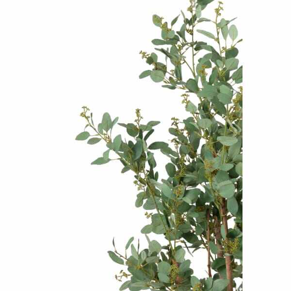 グローベン リフェイクグリーン 人工植物 樹木・屋内用 ユーカリ　大 専用鉢付き A70TN185 